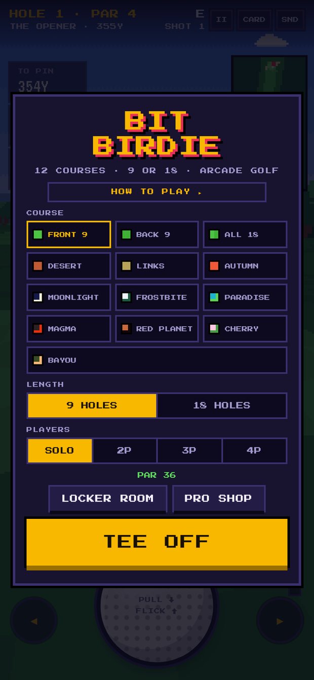 Bit Birdie screenshot 1